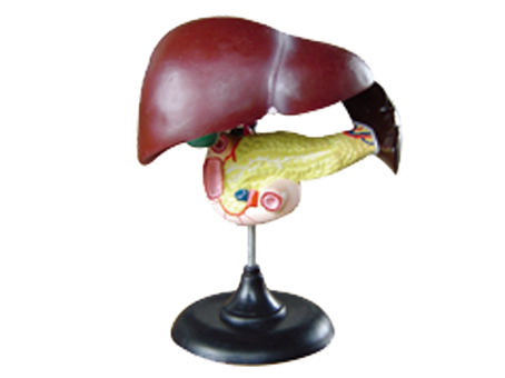 SD-093 33216ʮ֬cKģ