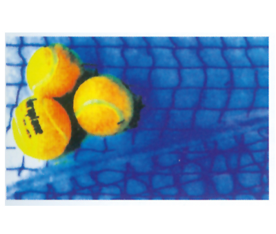 Y-1054 W(wng)W(wng)